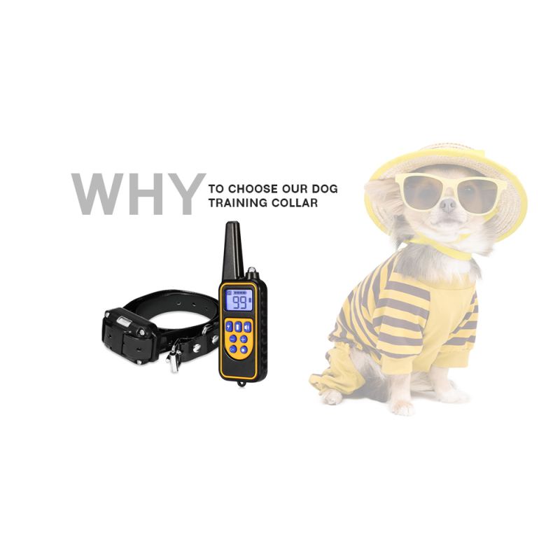 800m Electric Dog Training Collar Waterproof with Adjustable Vibration Levels for All Size Dogs