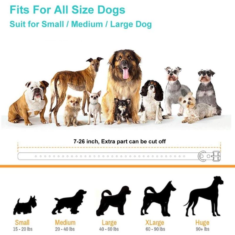 800m Electric Dog Training Collar with 3 Training Modes for Small to Large Dogs Rechargeable for Outdoor Use