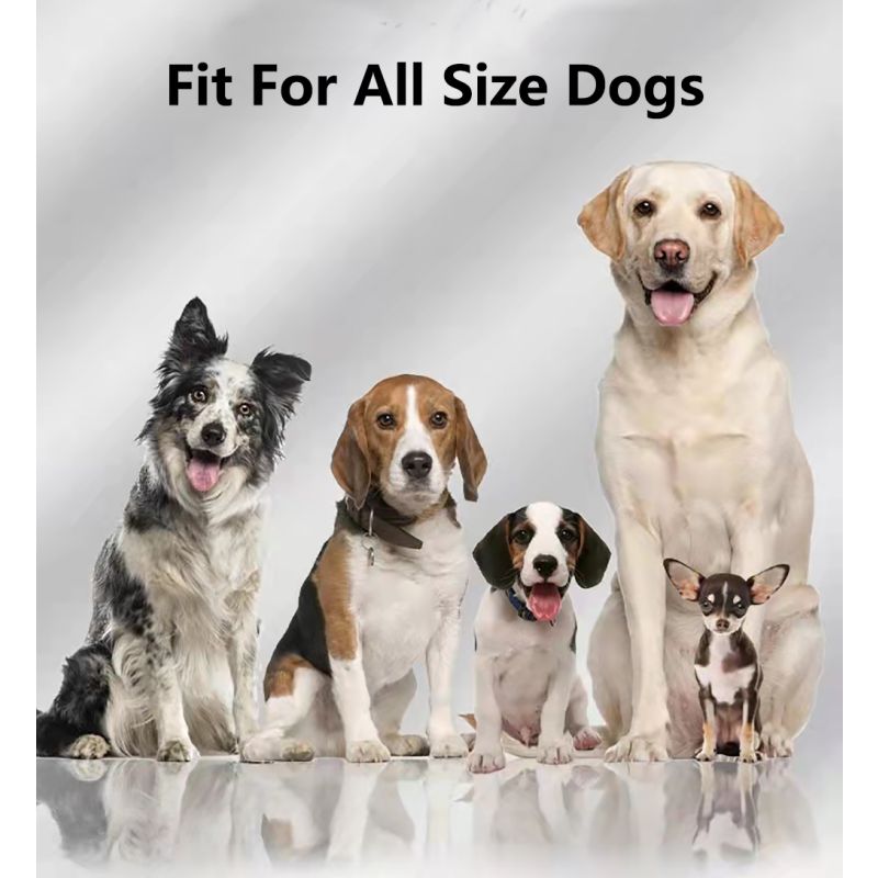 GPS Wireless Dog Fence Outdoor Pet Fencing Device 3280 Ft Range Easy Installation for Pet Safety and Freedom