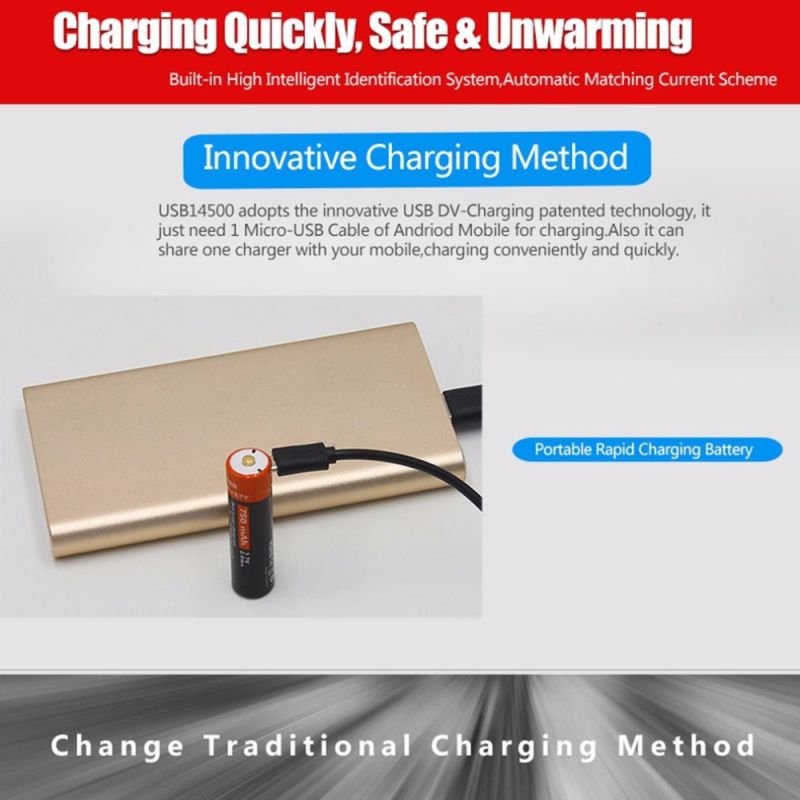 Doublepow 14500 750mAh rechargeable battery 3.7V Li-ion with Micro USB for high-drain devices camping