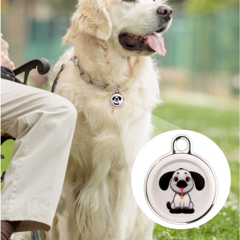 Innovative Dog Tracker Airtag Dog Collar Real-Time Location Bluetooth Tracking Pet Owner Essentials