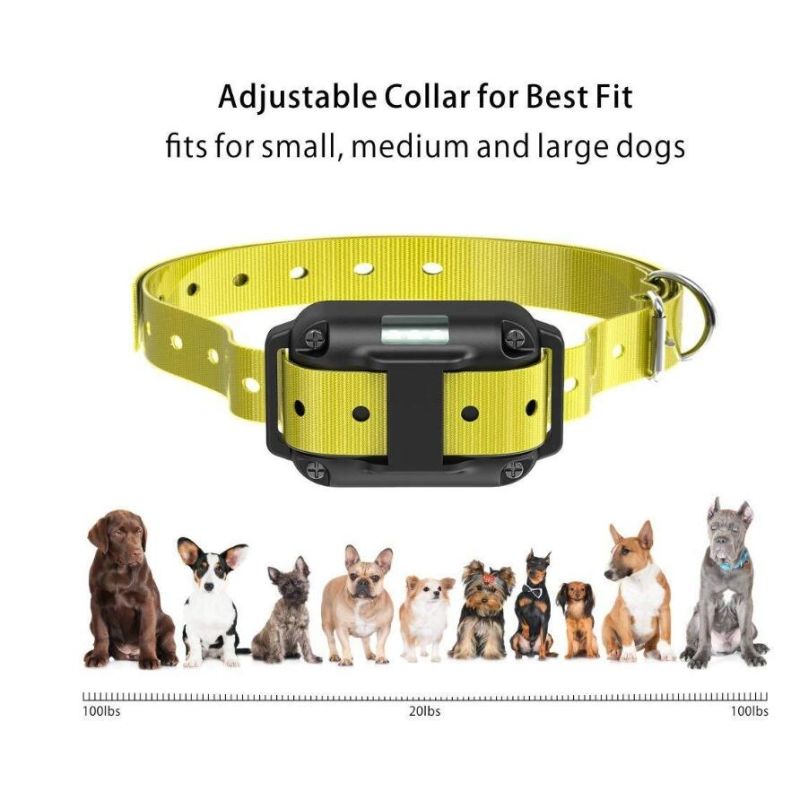 800m Electric Dog Training Collar Waterproof Rechargeable Pet Remote Control with LCD Display Adjustable Modes