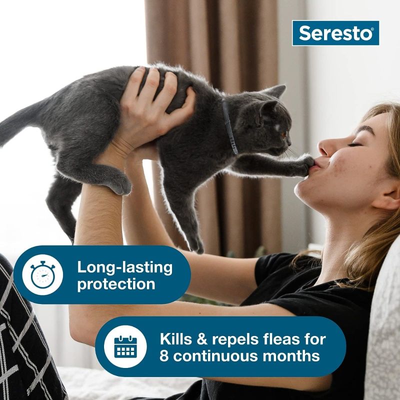 Seresto Large Dog Vet-Recommended Flea & Tick Treatment & Prevention Collar 8 Months Protection