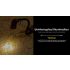 NITECORE TINI3 Keychain Light 600 Lumens Mini EDC Flashlight with Rechargeable Battery Ultra-Compact Design