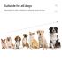 Transform Dog Training with 800m Pet Remote Rechargeable Adjustable Levels IP7 Waterproof Collar Vibration Shock