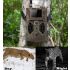 HC-300M 12MP Night Vision Hunting Camera with 1080P Video Capability and Infrared for Wildlife Monitoring