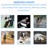 2021 Electric Dog Training Collar with 500m Remote Control Waterproof Rechargeable LCD Display Obedience