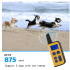 2020 NEW Waterproof Electric Dog Training Collar 1000m Range Adjustable Stimulation Levels for Humane Training