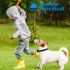 Petrainer 998D Remote Electric Dog Training Collar 300M Range Waterproof Rechargeable High-Capacity Battery
