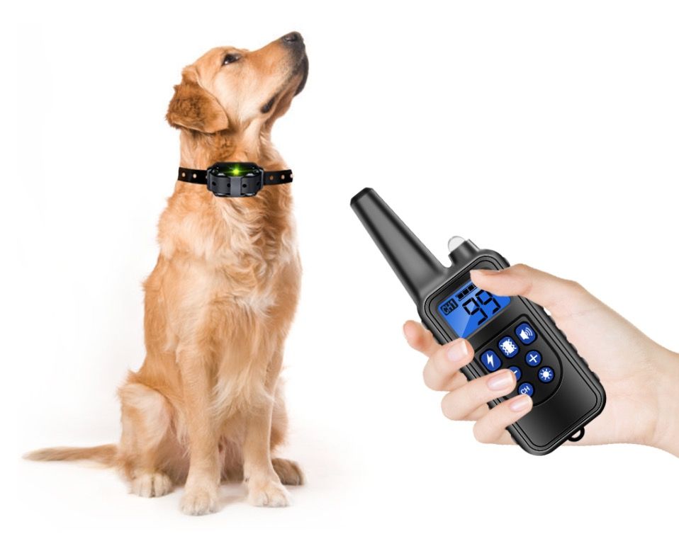 Transform Dog Training with 800m Pet Remote Rechargeable Adjustable Levels IP7 Waterproof Collar Vibration Shock