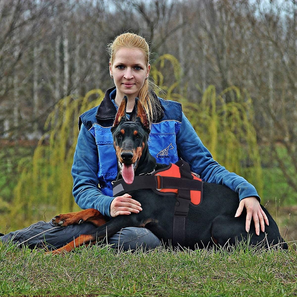 No-Pull Reflective Dog Vest with Handle Adjustable Harness for Medium Breeds Comfortable Walking Gear