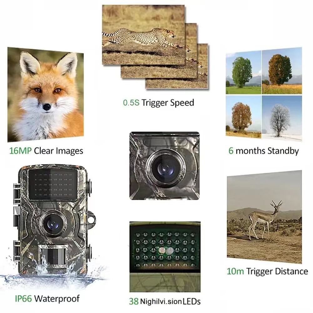 Hunting Trail Camera 940nm Infrared Night Vision Fast Trigger Speed for Wildlife Observation and Security