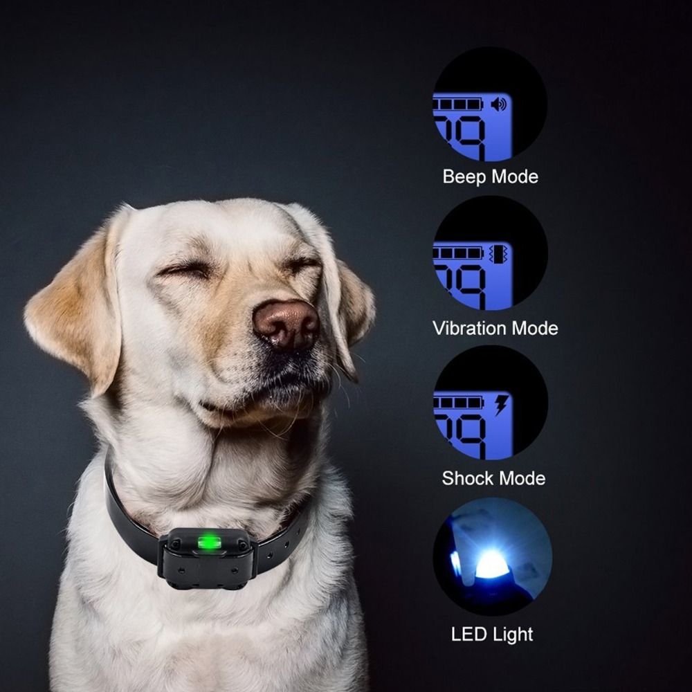 800m Electric Remote Dog Training Collar Waterproof Rechargeable Adjustable Levels for All Size Dogs
