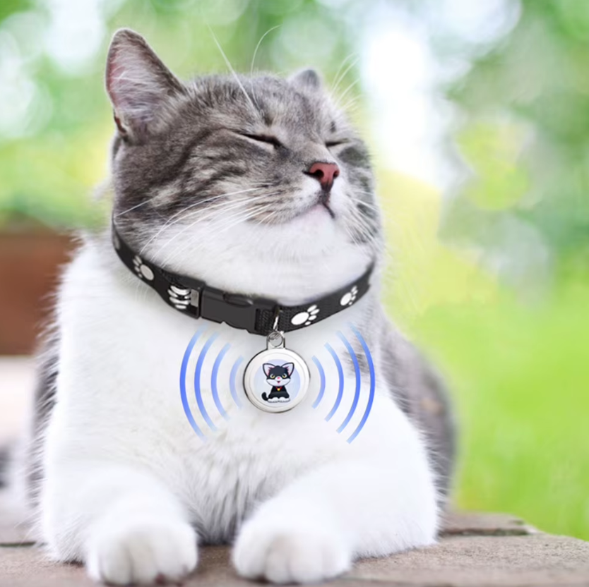 Innovative Dog Tracker Airtag Dog Collar Real-Time Location Bluetooth Tracking Pet Owner Essentials