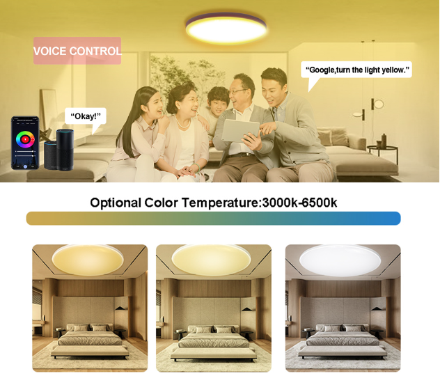 Tuya Zigbee Smart Ceiling Light 24W RGBCW Dynamic Lighting for Home Alexa Compatible Energy Efficient