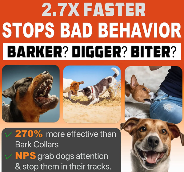 Rechargeable Pet Dog Repeller with Ultrasonic Technology Effective Dog Bark Control and LED Flashlight